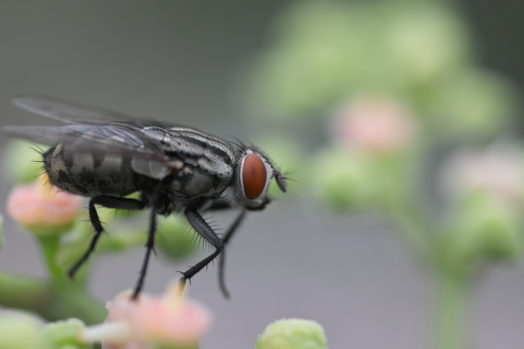 何処まで寄れるか？