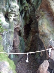 大楠