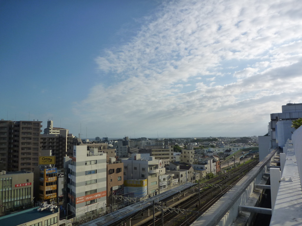 屋上