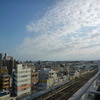 屋上