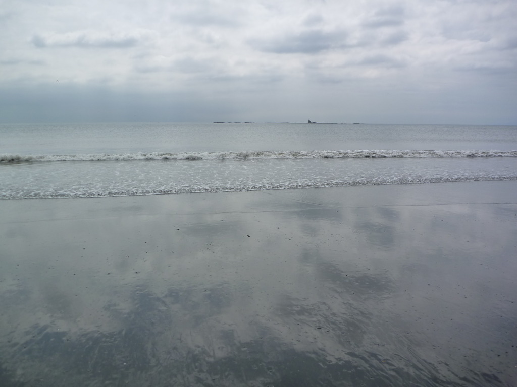 海