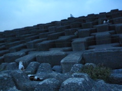 猫’ｓ