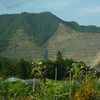 山