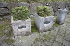 多分元は。。。
