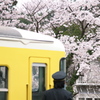 見とれる。