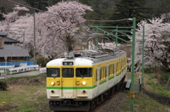 花見列車