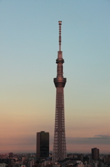 TOKYO SKY TREE