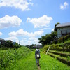 夏の空