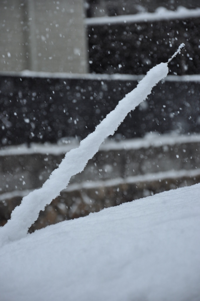 雪の増殖