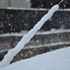 雪の増殖