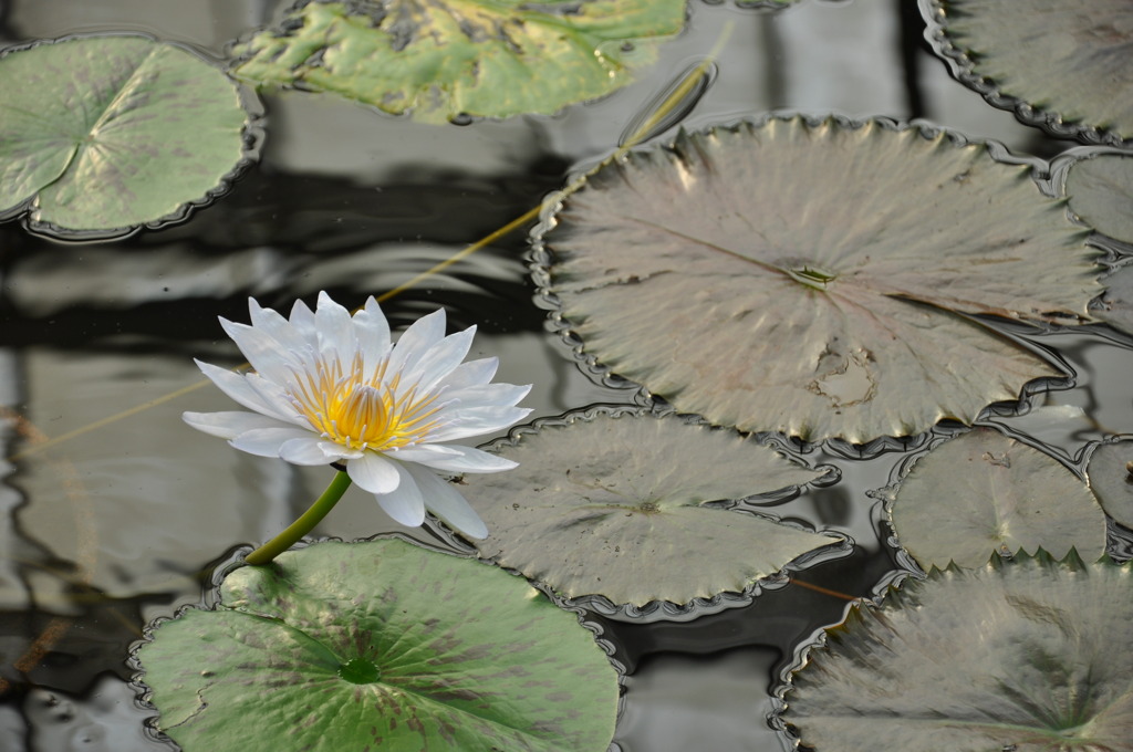 存在