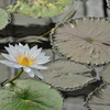 存在