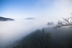 竹田城雲海