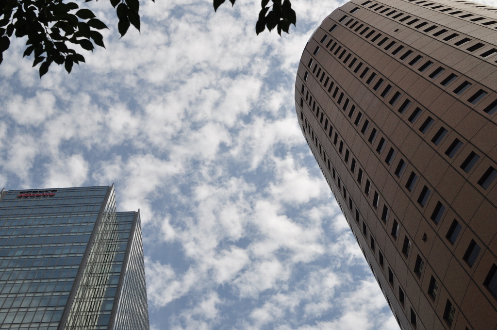 ビルの間から・・・