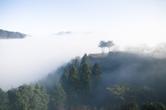 竹田城雲海