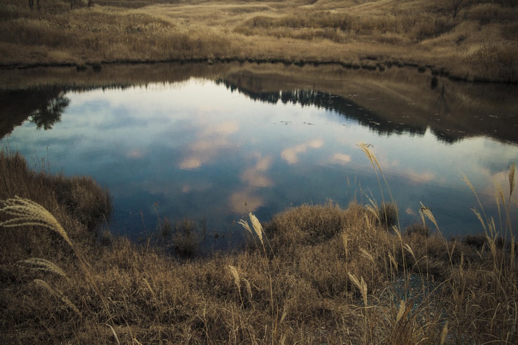 水面に映る秋空