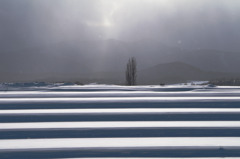 雪影