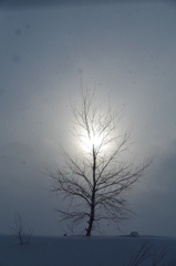 吹雪の太陽