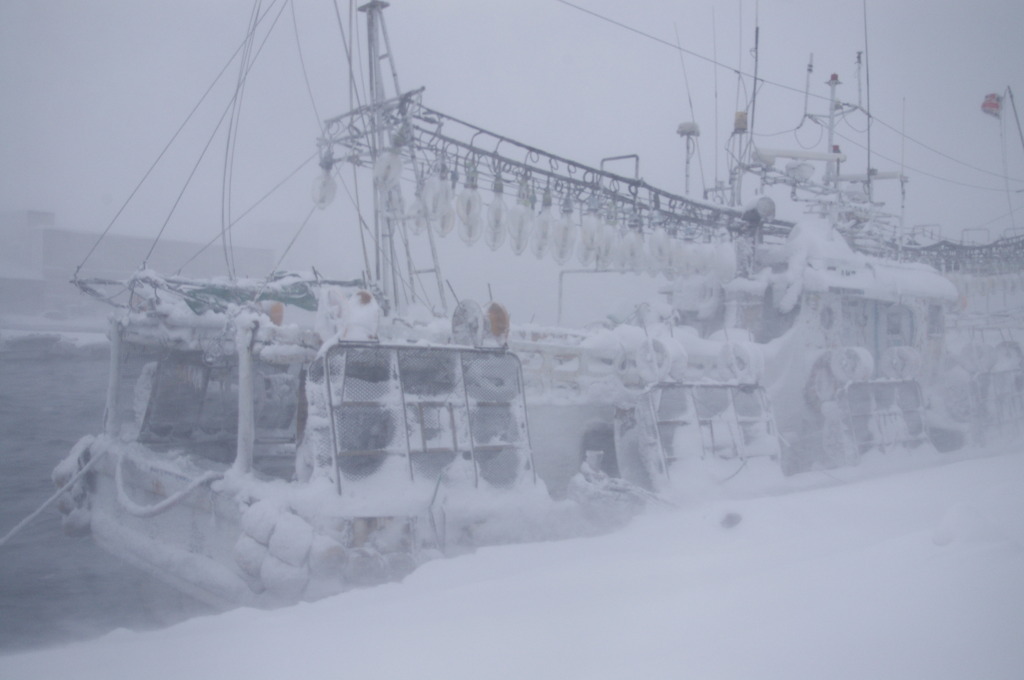 風雪に耐えて