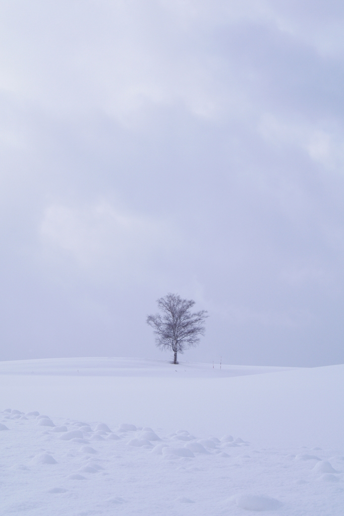 らしい風景
