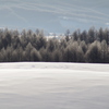 霧氷