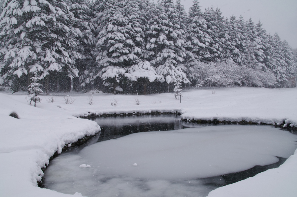 雪景色