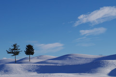 雪日和