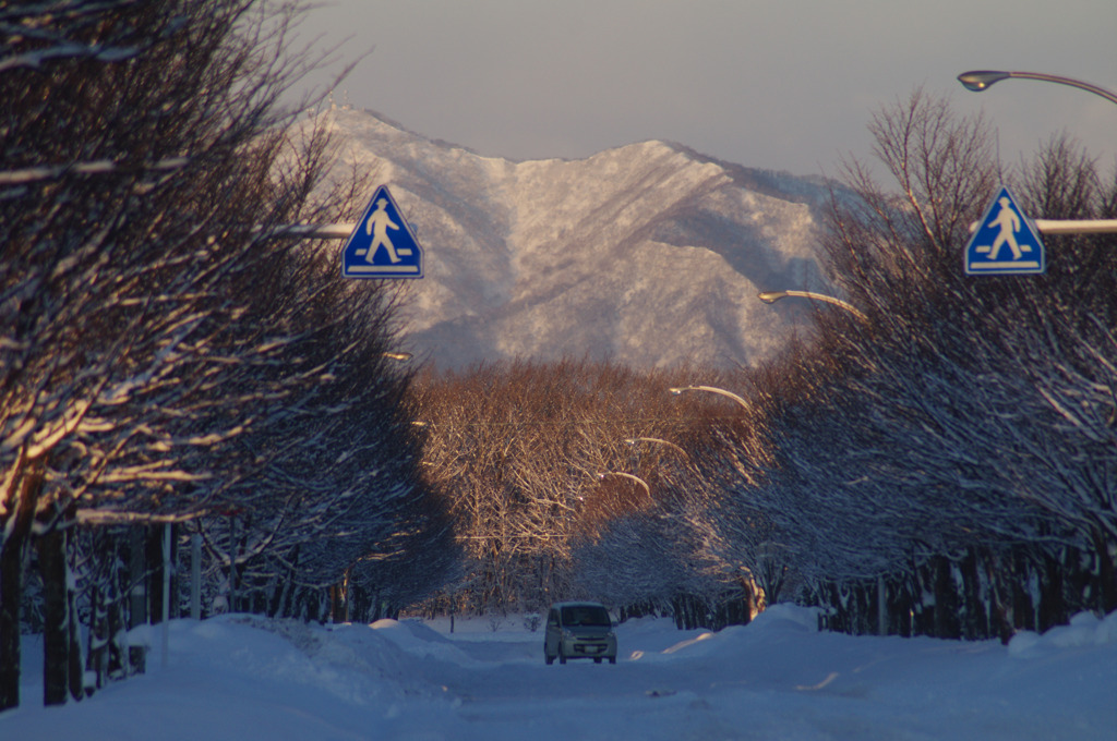 今朝の風景