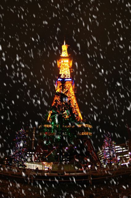 雪中のイルミネーション