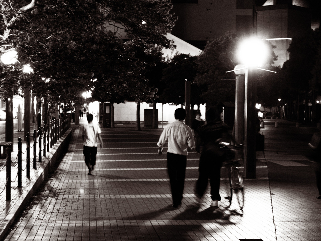 ある家路Ⅱ