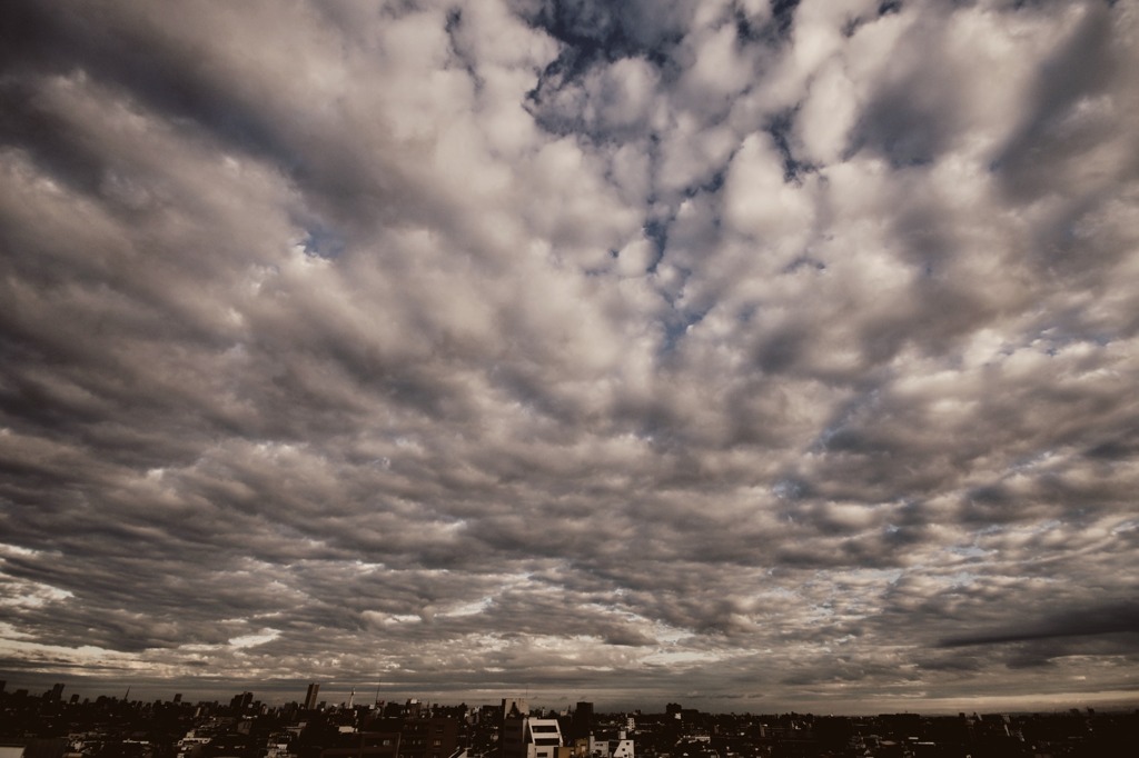 ある爽やかな?秋空・・・