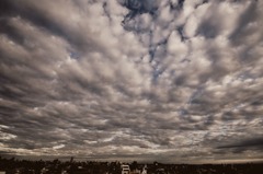 ある爽やかな?秋空・・・