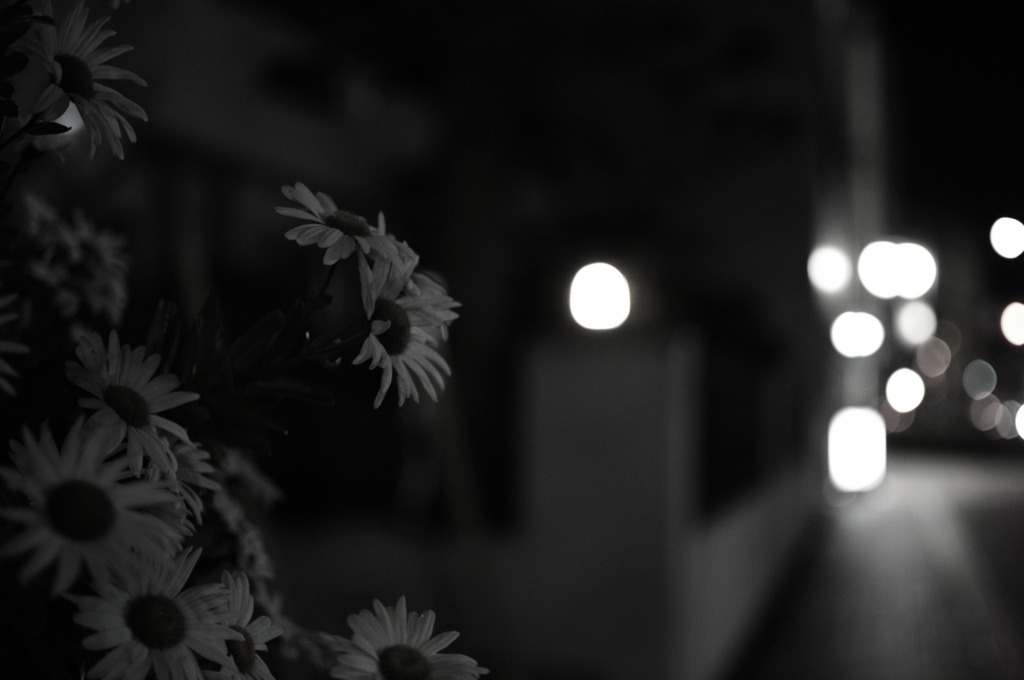 ある光と花PartⅡ