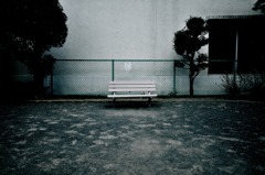 ある雨の後PartⅡ