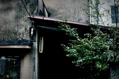 ある雨の後PartⅠ