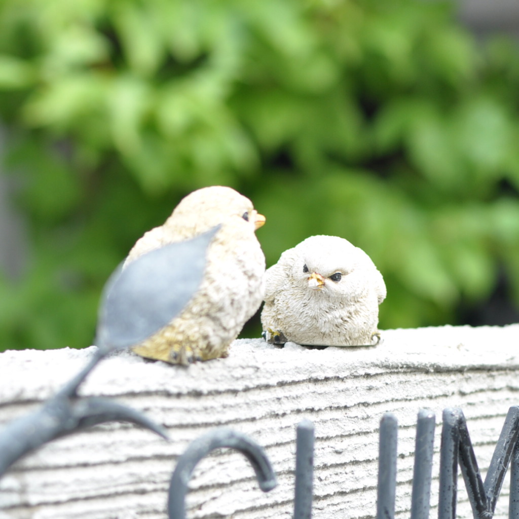 ある鳥たち
