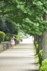 ある歩道