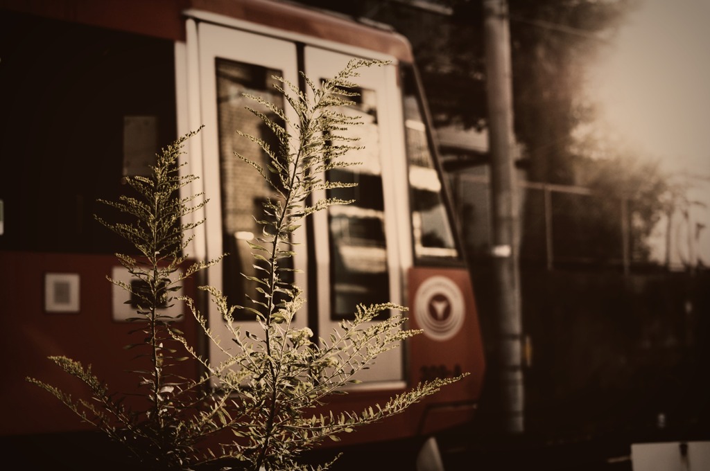 ある撮り鉄PartⅢ