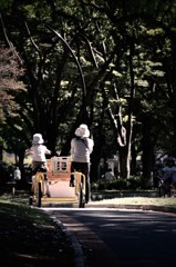 ある公園の風景PartⅠ