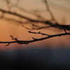 夕景１