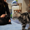 猫カメラ女子休憩中
