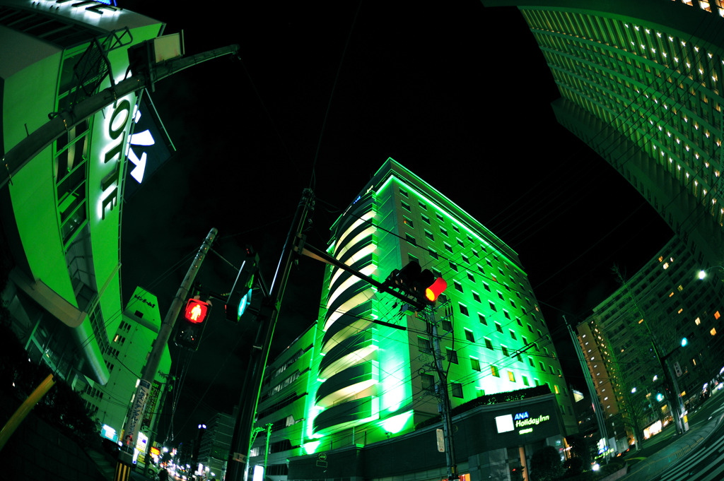 緑夜