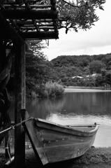 三渓園にて