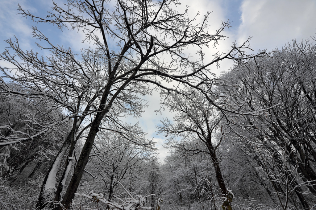 月山新雪２