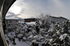 雪の朝