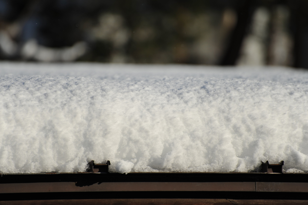 新雪