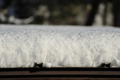 新雪