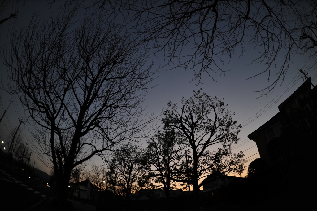 仙台夕景２
