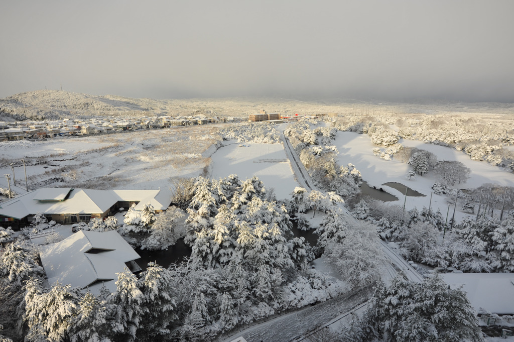 仙台雪景２