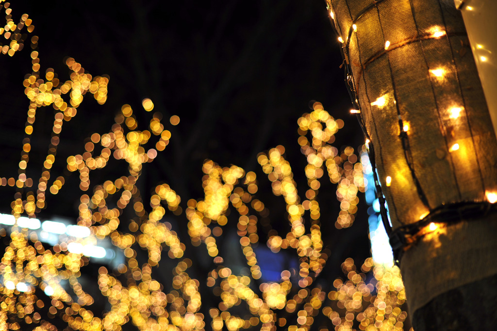 仙台光のページェント